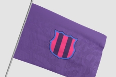 Bandera_MockUp
